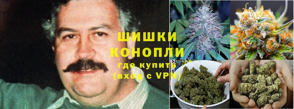 гидропоника Балахна