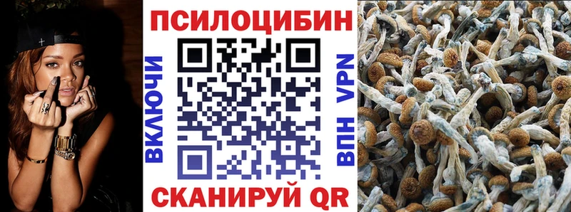 сколько стоит  Костомукша  hydra ТОР  Псилоцибиновые грибы GOLDEN TEACHER 