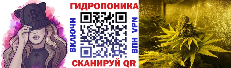 Шишки марихуана сатива  Костомукша 